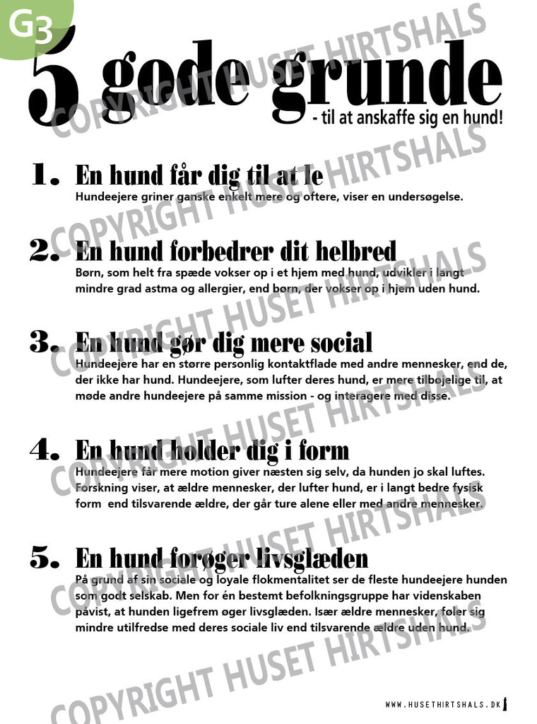 5 Gode Grunde plakat HUND