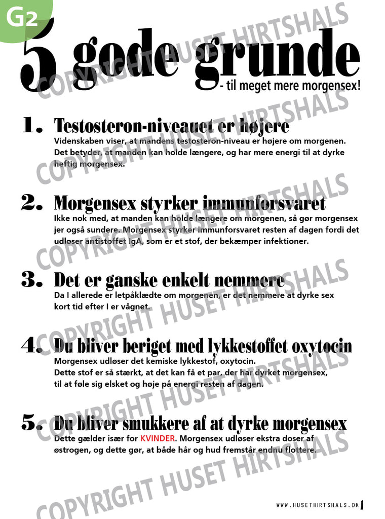 5 Gode Grunde plakat MORGENSEX